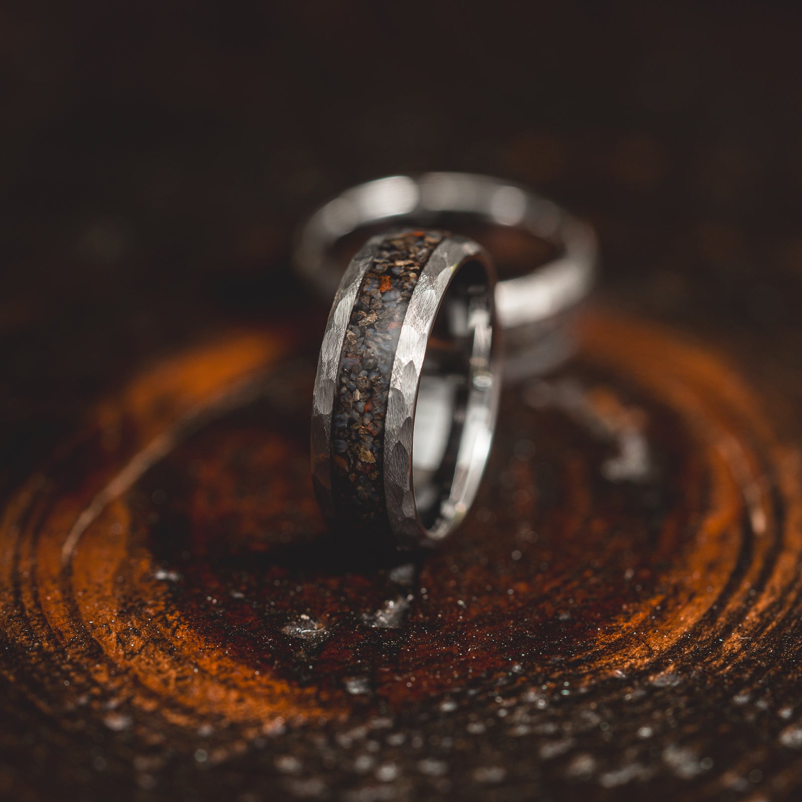 "HellCreek Ember" Dinosaur Bone x Hammered Tungsten Carbide- Silver