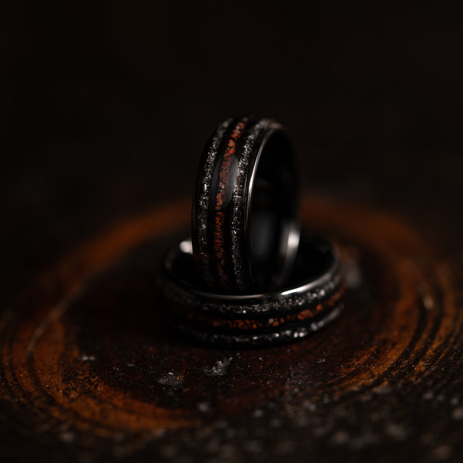 "Perseus" Black Domed Tungsten Carbide Ring- Dinosaur Bones and Meteorite- 6mm/8mm