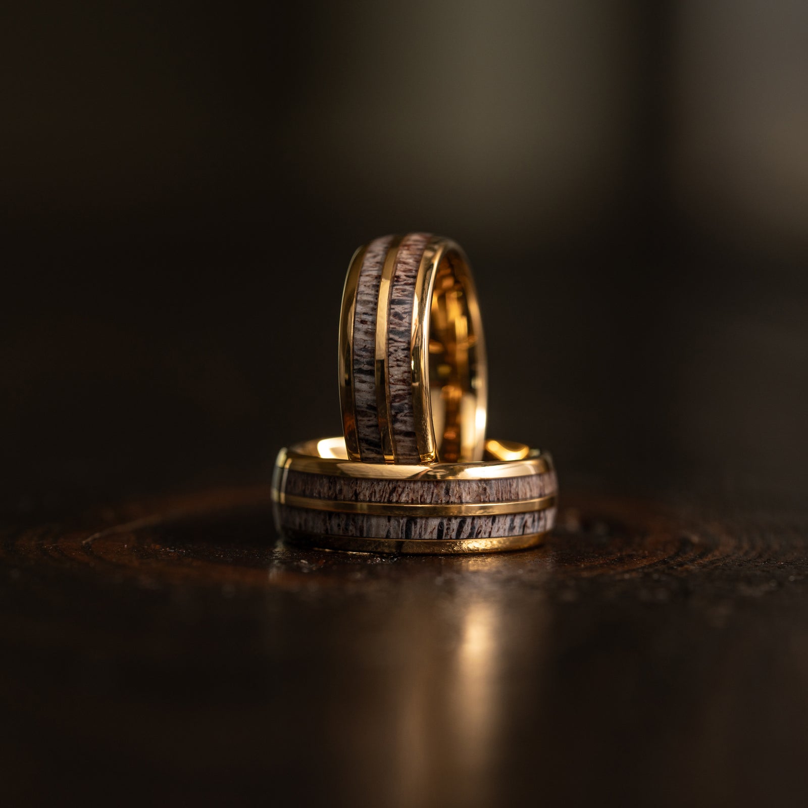 "Dionysus" Double Barrel Naturally Shed Antler Yellow Gold Tungsten Ring- Domed