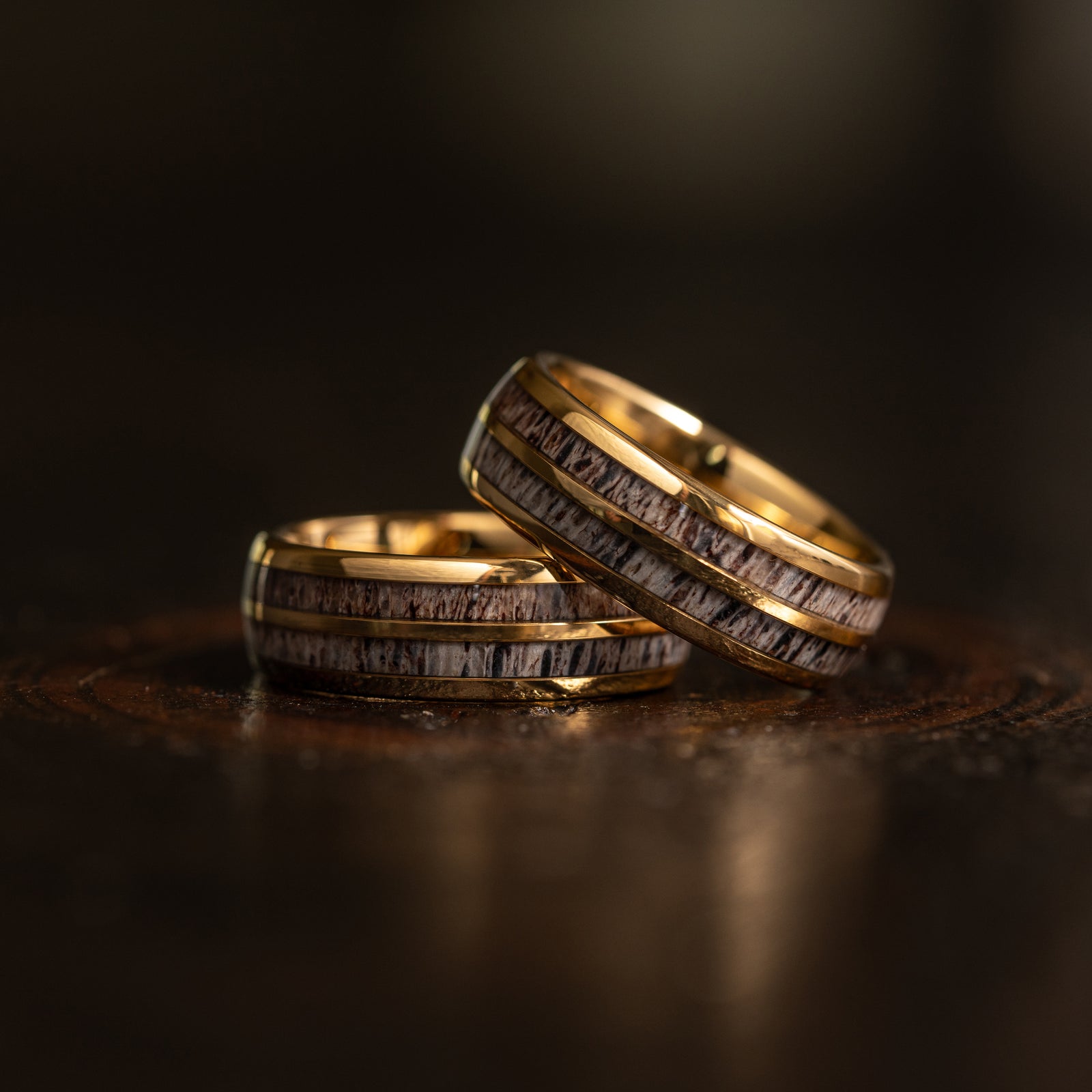 "Dionysus" Double Barrel Naturally Shed Antler Yellow Gold Tungsten Ring- Domed