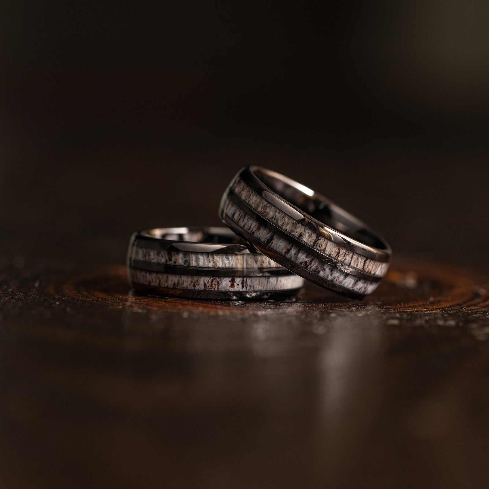 "Dionysus" Double Barrel Naturally Shed Antler Gunmetal Tungsten Ring- Domed