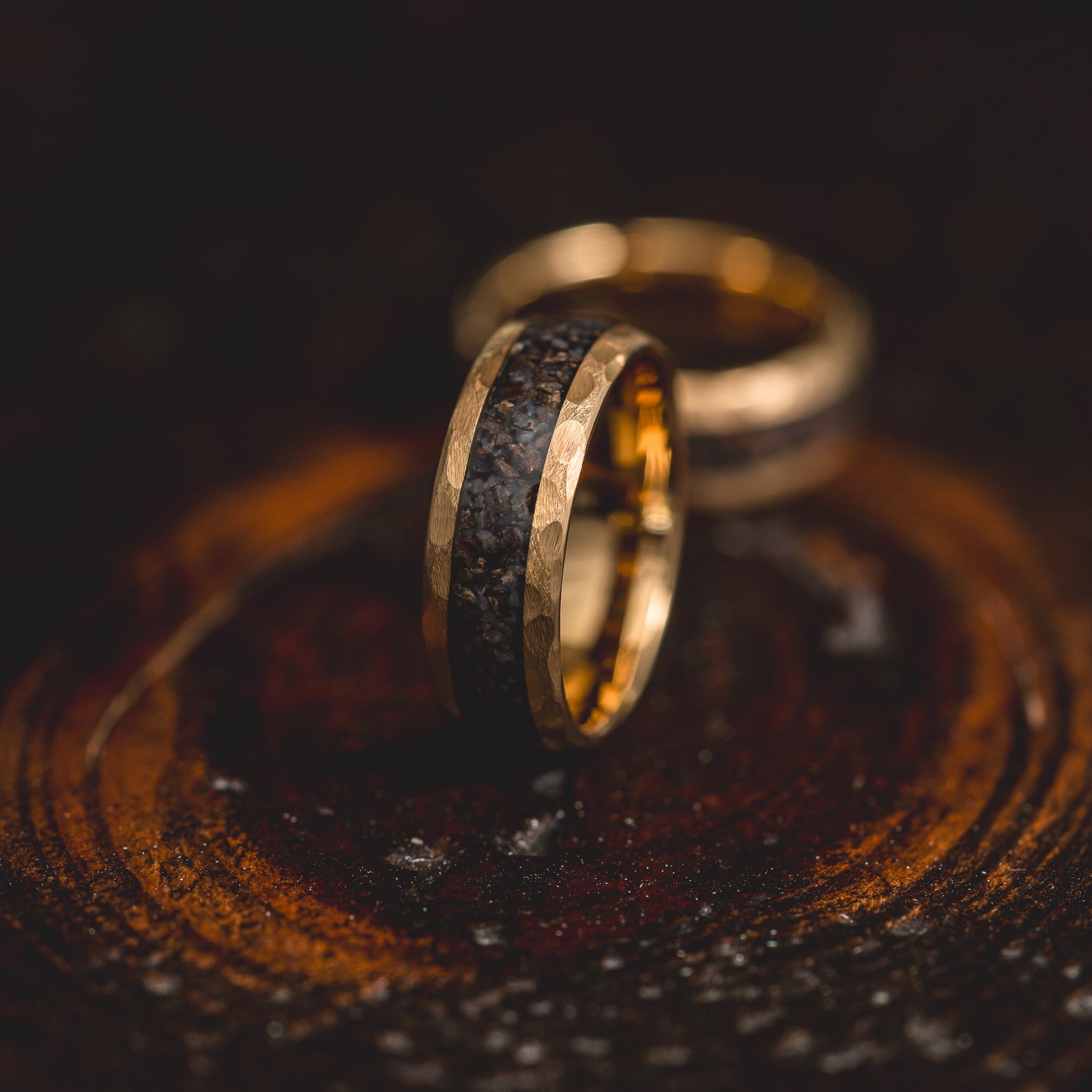 "HellCreek Ember"  Dinosaur Bone x Hammered Tungsten Carbide- Gold