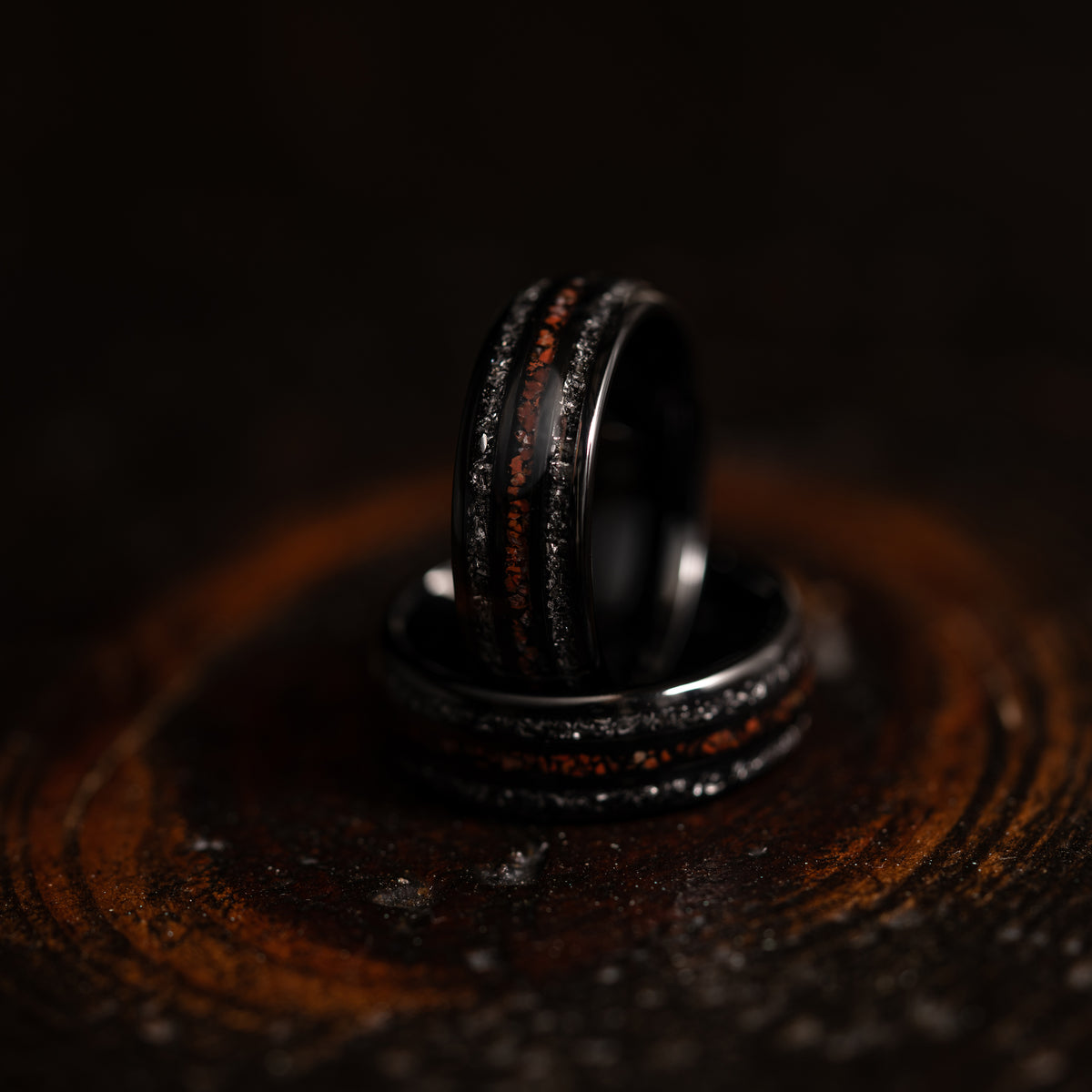 "Perseus" Black Domed Tungsten Carbide Ring- Dinosaur Bones and Meteorite- 6mm/8mm