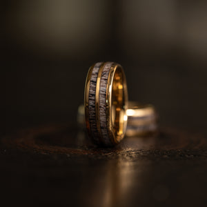 "Dionysus"  Double Barrel Naturally Shed Antler Yellow Gold Tungsten Ring- Domed