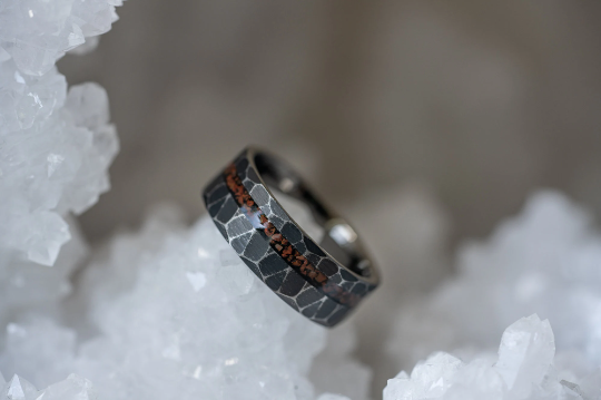 Mens ring meteorite dinosaur bone online