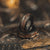 "Perseus" Black/Rose Hammered Tungsten Carbide Ring- Dinosaur Bones and Meteorite- 6mm/8mm